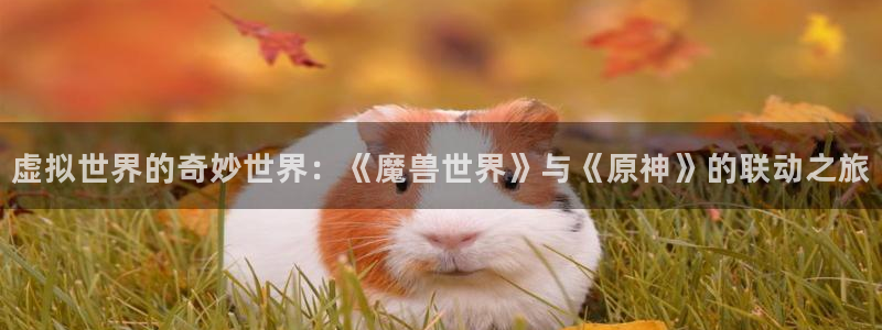 剑风传奇樱花动漫：虚拟世界的奇妙世界：《魔兽世界》与《原神》的联动之旅