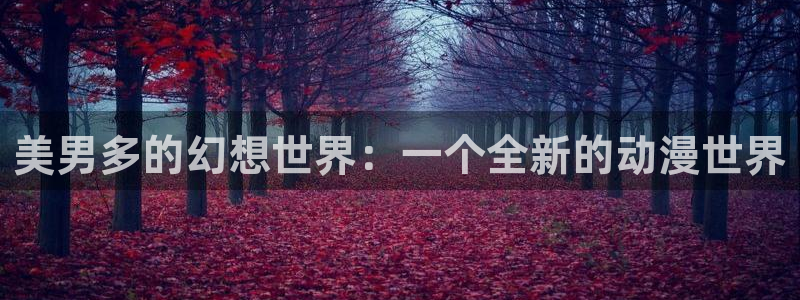 魔女之旅樱花动漫高清：美男多的幻想世界：一个全新的动漫世界
